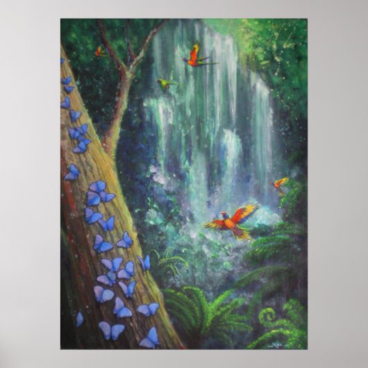 Rainforest Magic Poster (Voorkant)