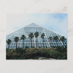 Rainforest piramid, South Texas, VS Briefkaart