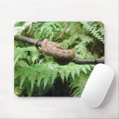 Rainforest Snake Wrap - mousepad Muismat (Met muis)