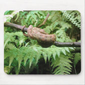 Rainforest Snake Wrap - mousepad Muismat (Voorkant)