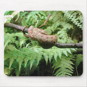 Rainforest Snake Wrap - mousepad Muismat