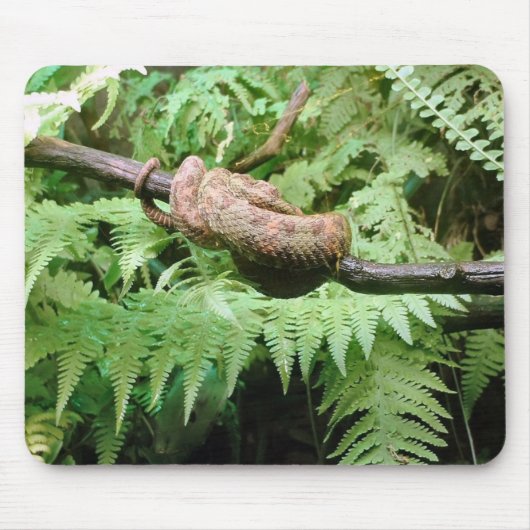 Rainforest Snake Wrap - mousepad Muismat (Voorkant)