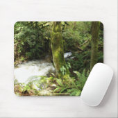 Rainforest Stream Wilderness Natuur Foto Mousepad Muismat (Met muis)