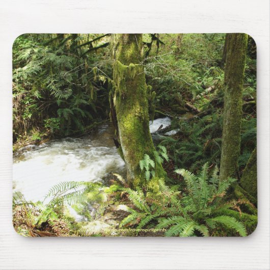 Rainforest Stream Wilderness Natuur Foto Mousepad Muismat (Voorkant)