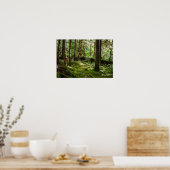 Rainforest van het Olympisch schiereiland Poster (Keuken)