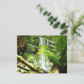 Rainforest Waterfall Briefkaart (Staand voorkant)