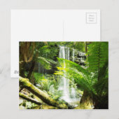 Rainforest Waterfall Briefkaart (Voorkant / Achterkant)