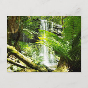 Rainforest Waterfall Briefkaart