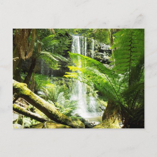 Rainforest Waterfall Briefkaart (Voorkant)