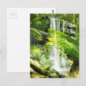 Rainforest Waterfall Briefkaart (Voorkant / Achterkant)
