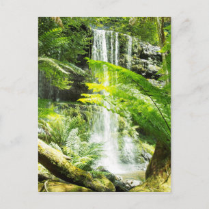Rainforest Waterfall Briefkaart