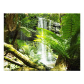 Rainforest Waterfall Foto Afdruk (Voorkant)