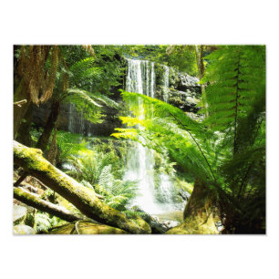 Rainforest Waterfall Foto Afdruk
