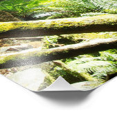 Rainforest Waterfall Foto Afdruk (Hoek)