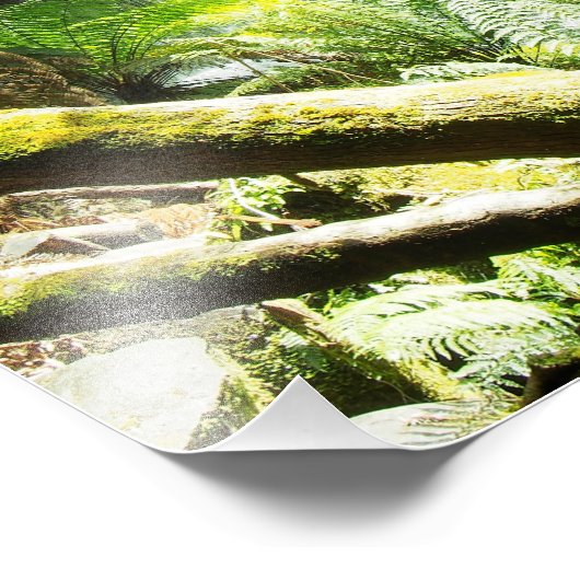 Rainforest Waterfall Foto Afdruk (Hoek)