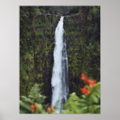 Rainforest Waterfall Fotografie Poster (Voorkant)