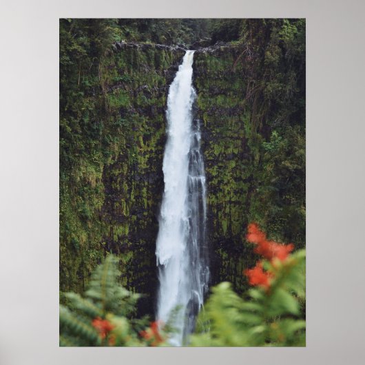 Rainforest Waterfall Fotografie Poster (Voorkant)