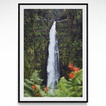 Rainforest Waterfall Fotografie Poster