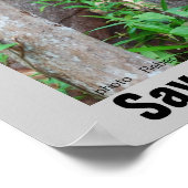 Rainforest Wildlife Poster (Hoek)