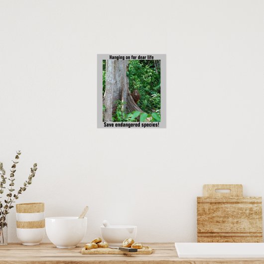 Rainforest Wildlife Poster (Keuken)