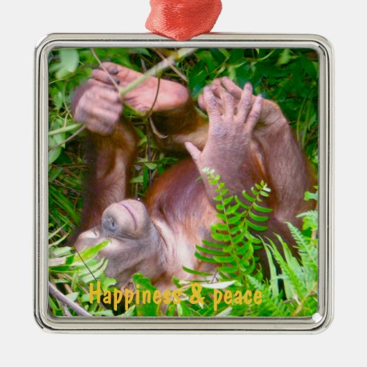 Rainforest Yoga Happy Baby Metalen Ornament (Voorkant)