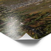 Rainier Autumn-kleur monteren Foto Afdruk (Hoek)