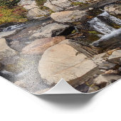 Rainier en Edith Creek monteren Foto Afdruk (Hoek)