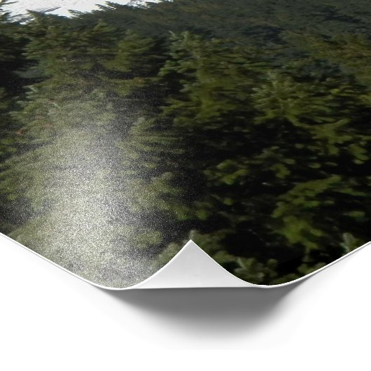 Rainier- en herfst-bladeren monteren foto afdruk (Hoek)