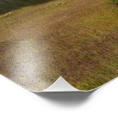 Rainier en Lake Reflection monteren Foto Afdruk (Hoek)