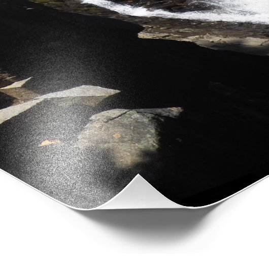 Rainier- en Myrtle-Herfsten Foto Afdruk (Hoek)