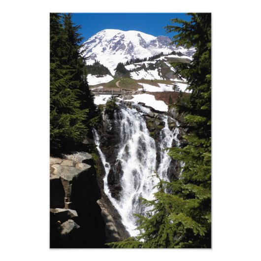 Rainier- en Myrtle-Herfsten Foto Afdruk (Voorkant)