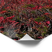 Rainier Fall Colors Photo Glossy Perfect Poster (Hoek)