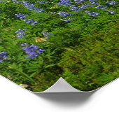 Rainier monteren met Paarse lupinen Poster (Hoek)