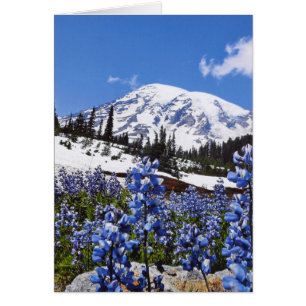 Rainier monteren op Paradise Point