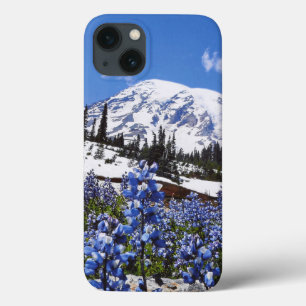 Rainier monteren op Paradise Point Case-Mate iPhone Case