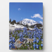 Rainier monteren op Paradise Point Fotoplaat (voorkant)