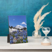 Rainier monteren op Paradise Point Fotoplaat (Zijkant)