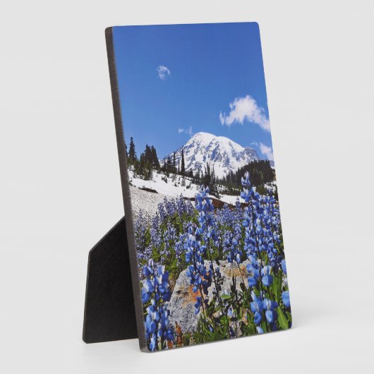 Rainier monteren op Paradise Point Fotoplaat (Zijkant)