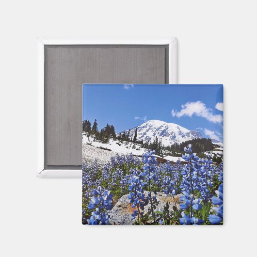 Rainier monteren op Paradise Point Magneet (Voorkant / Achterkant)