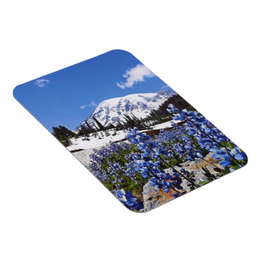 Rainier monteren op Paradise Point Magneet (Rechterzijde)