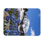 Rainier monteren op Paradise Point Magneet (Horizontaal)