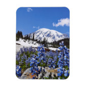 Rainier monteren op Paradise Point Magneet (Verticaal)