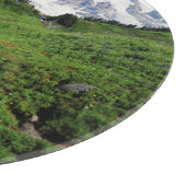 Rainier monteren, waterval, met sneeuw bedekt snijplank (Hoek)