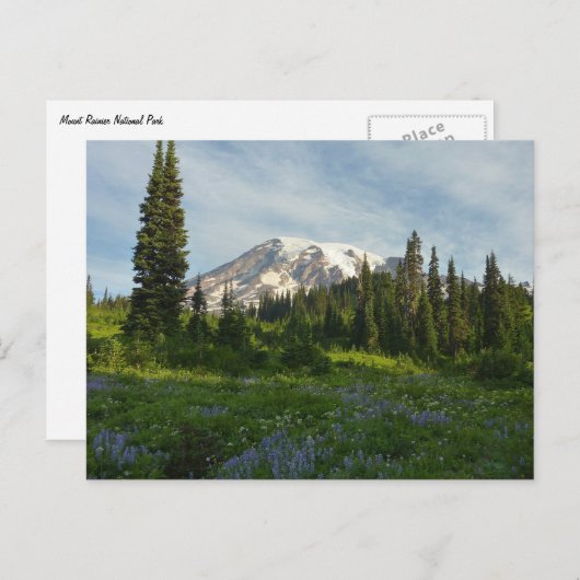 Rainier Morning Light Briefkaart (Voorkant / Achterkant)