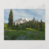 Rainier Morning Light Briefkaart (Voorkant)