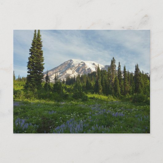 Rainier Morning Light Briefkaart (Voorkant)