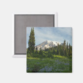 Rainier Morning Light Magneet (Voorkant / Achterkant)