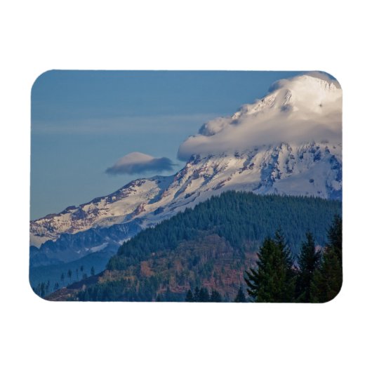 Rainier P5002 Magneet (Horizontaal)