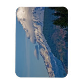Rainier P5002 Magneet (Verticaal)