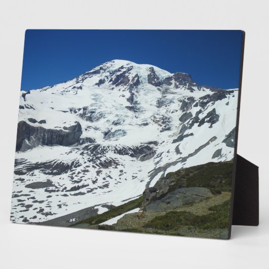 Rainier P555 Fotoplaat (Zijkant)